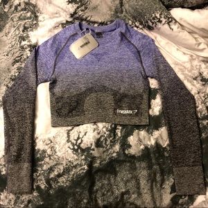 Gymshark Ombré Seamless Long Sleeve Crop Top